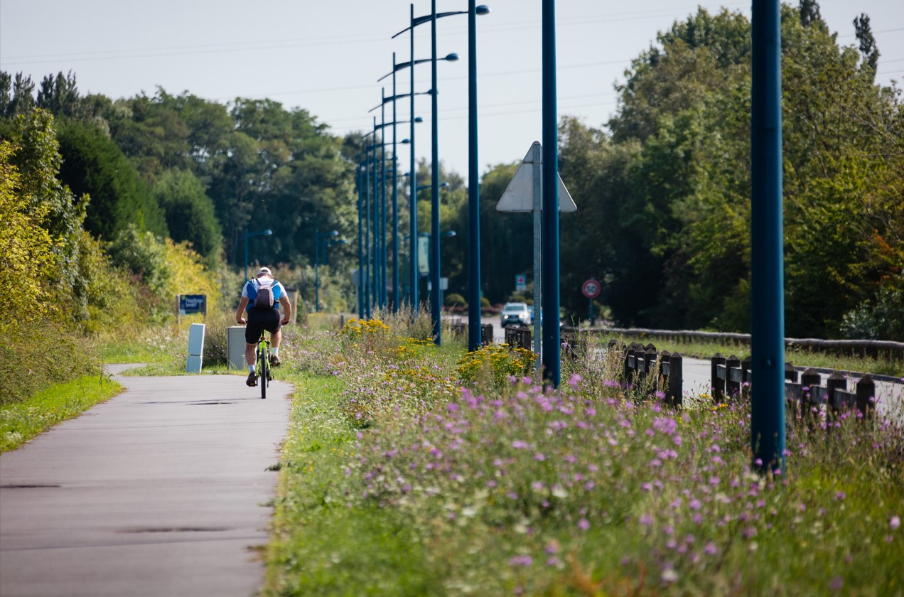 Le Parc des Industries Artois-Flandres : aménager une ZAC en intégrant les mobilités durables